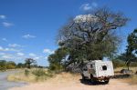015. Onderweg Big Baobab.jpg